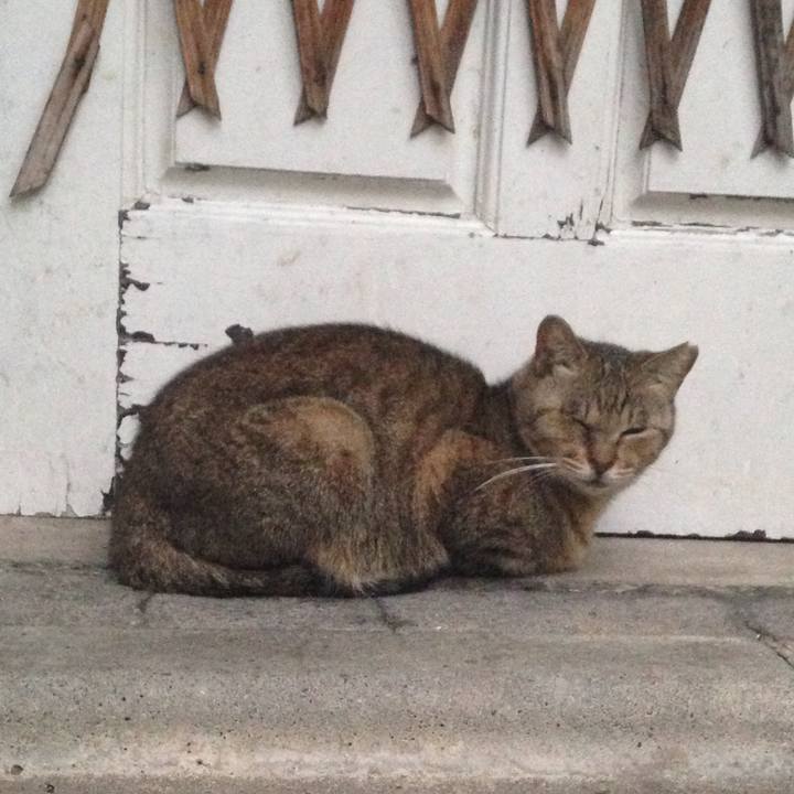 F22c9b23 276d 42ab 9106 2daafd77a084