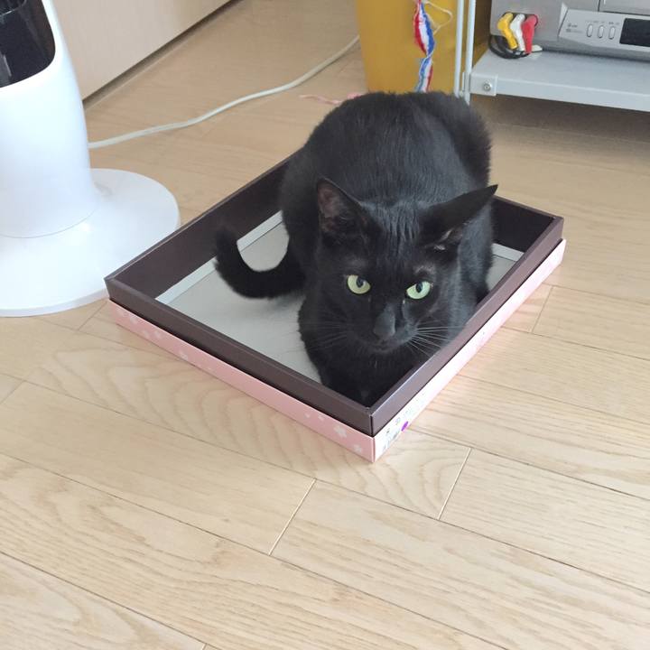 F22cfbf6 c7bf 494c 87cd f008ca20b697