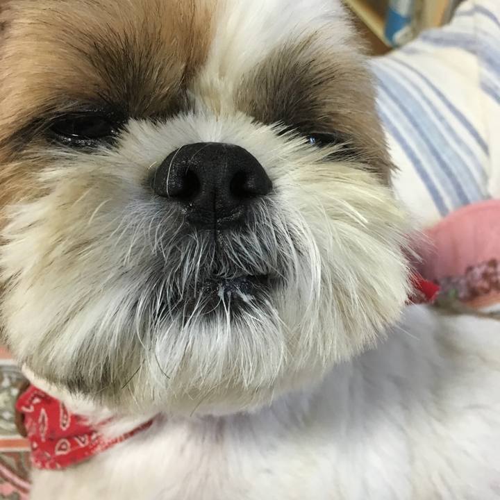 F22d57ef f897 4c37 a70a 176e69a06bf9