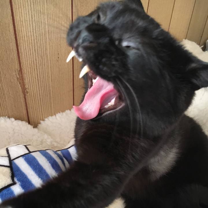 F22dc7e8 b4f9 4a67 921e b05d6f6b26c7