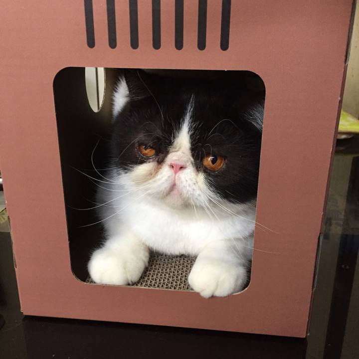 F22e87ef 94d2 4ffc 855d 6a9d845db88a