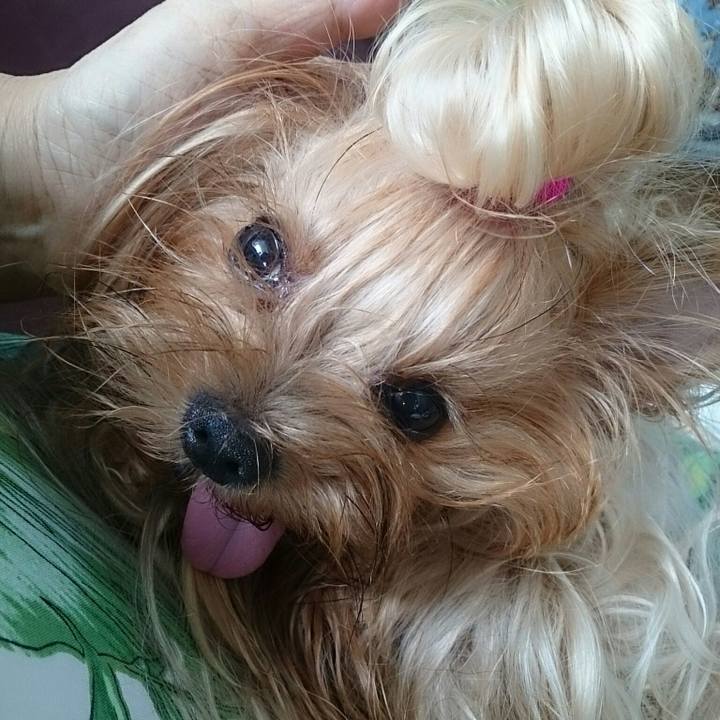 F22e9872 5cb5 4a9a a243 4037fa9d171d