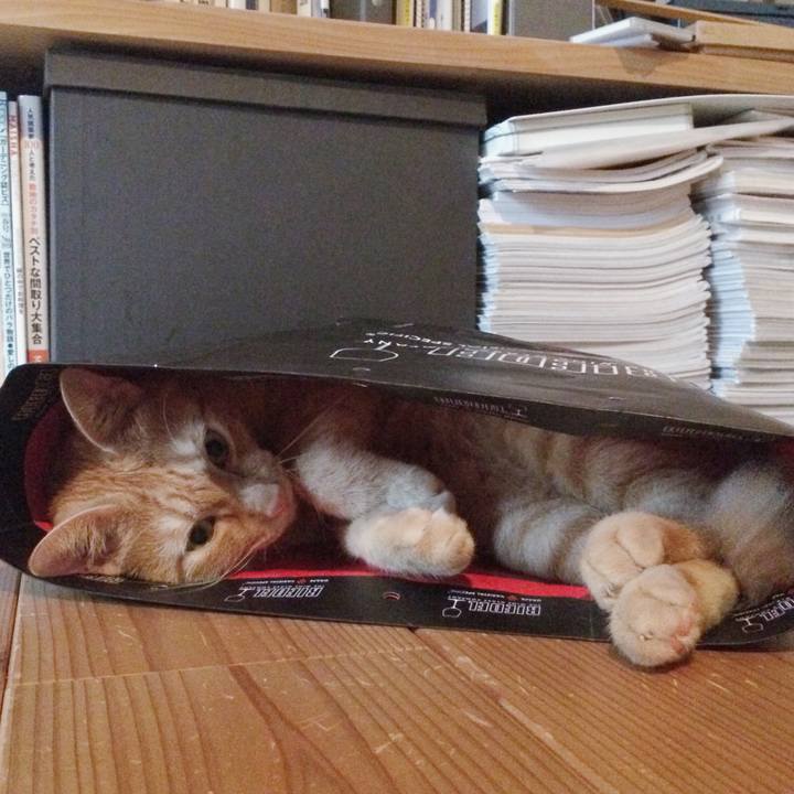 F22f12e0 f342 464d acb7 469e68152c32