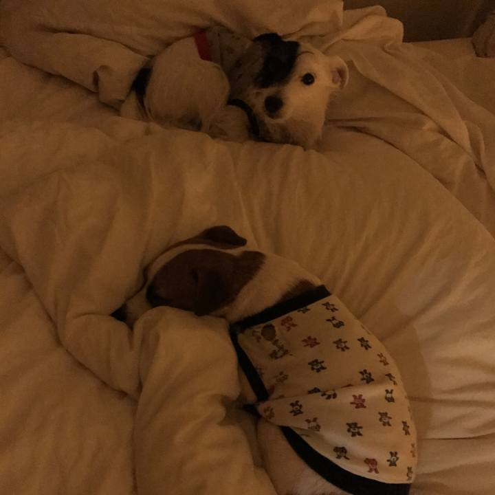 F22fc90c d38f 4897 9b63 c85b3ce73300