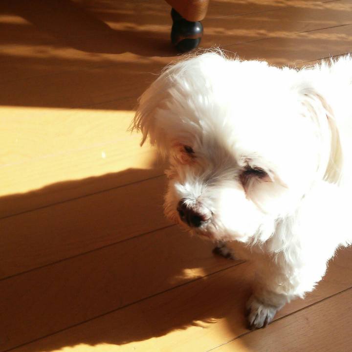 F2305398 85cf 41ec ab60 de2ff27a4e28