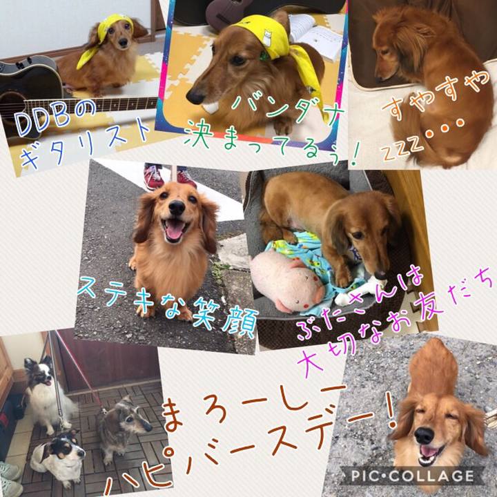 F230759f f35a 413f 8ab1 ce614d6d31a9
