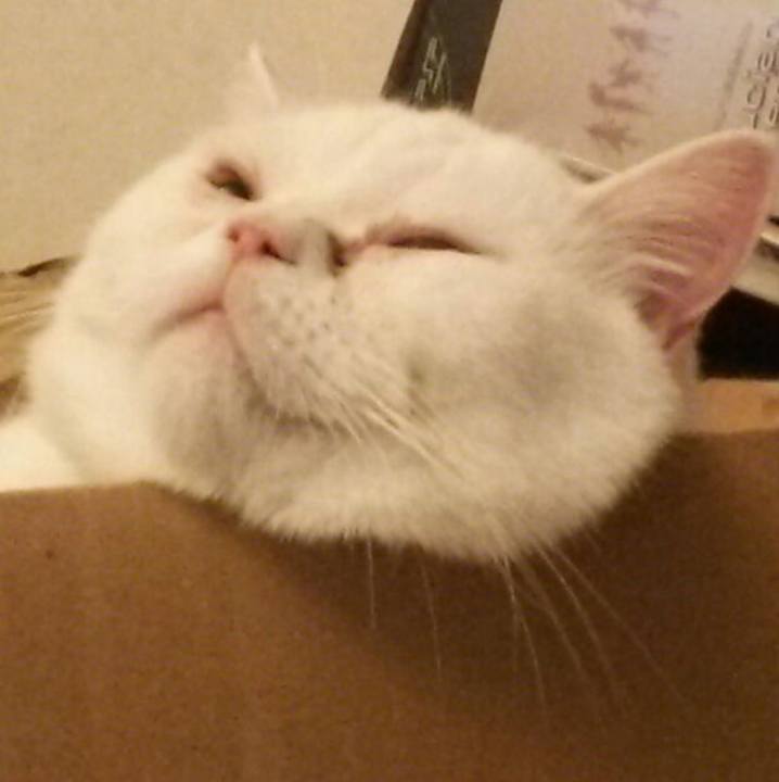 F230c7d7 620f 475d b782 29afa97f954f