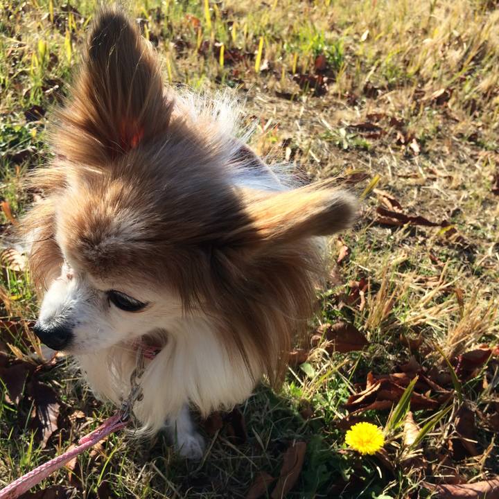 F2318707 e408 4c78 9281 44ae0e932b03