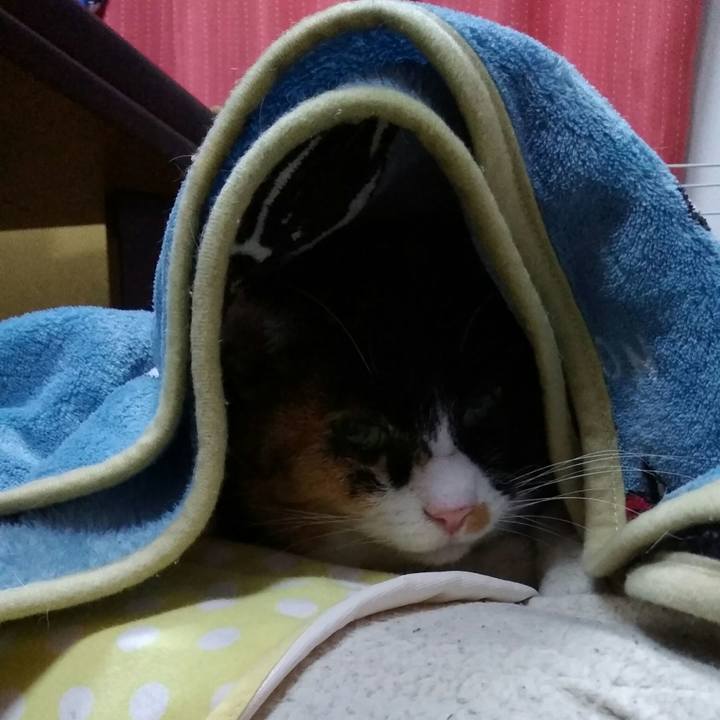 F231884c ca18 4539 9feb 57bbeefb2d8e