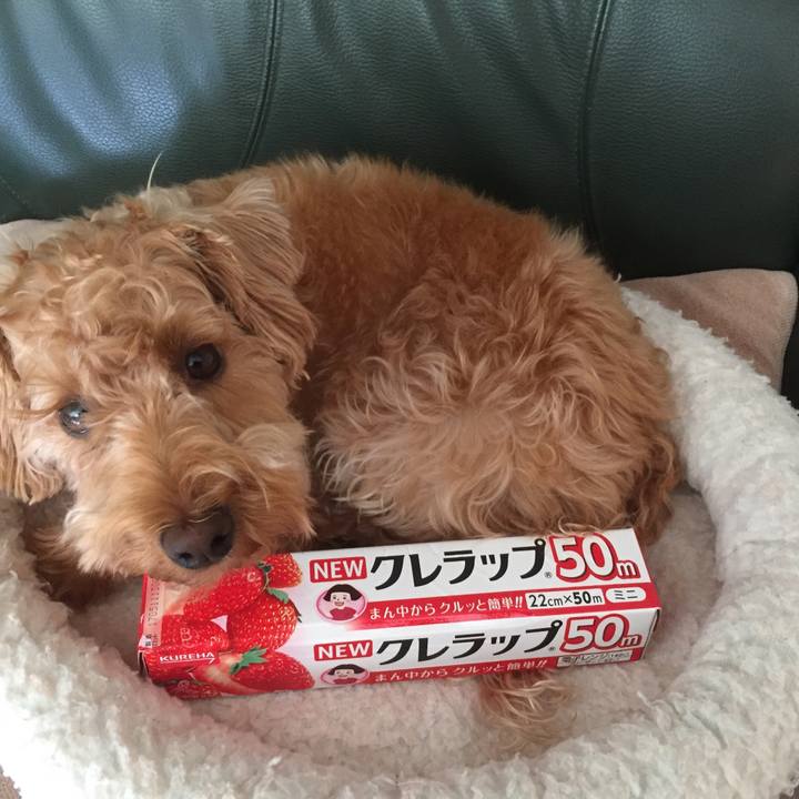 F2319ea6 e582 4389 9921 6b586d1f4d82