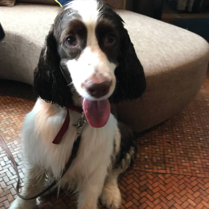 F231cdb4 3858 4882 b628 bd87514b2722