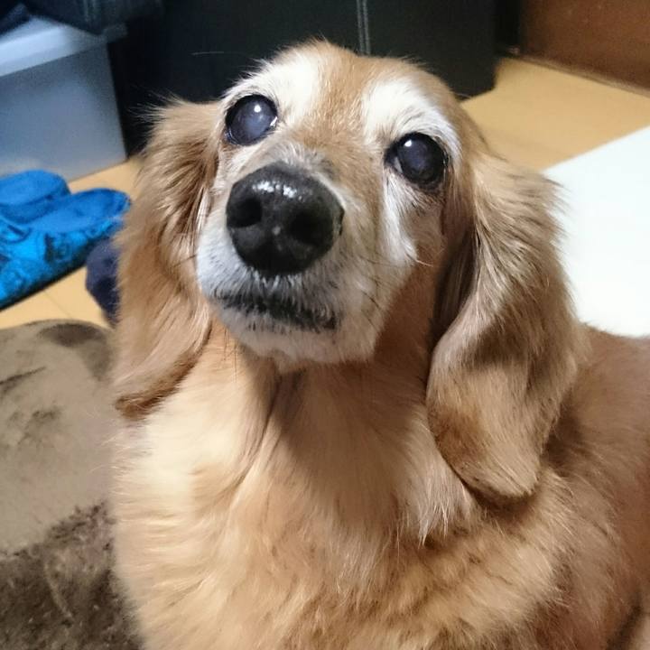 F23219b2 1e24 4614 a2e0 05679289c033