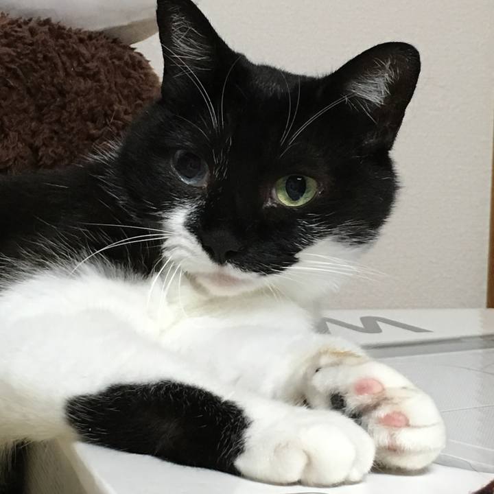 F232e5f3 8b7c 47cf b95a 51588d2125db