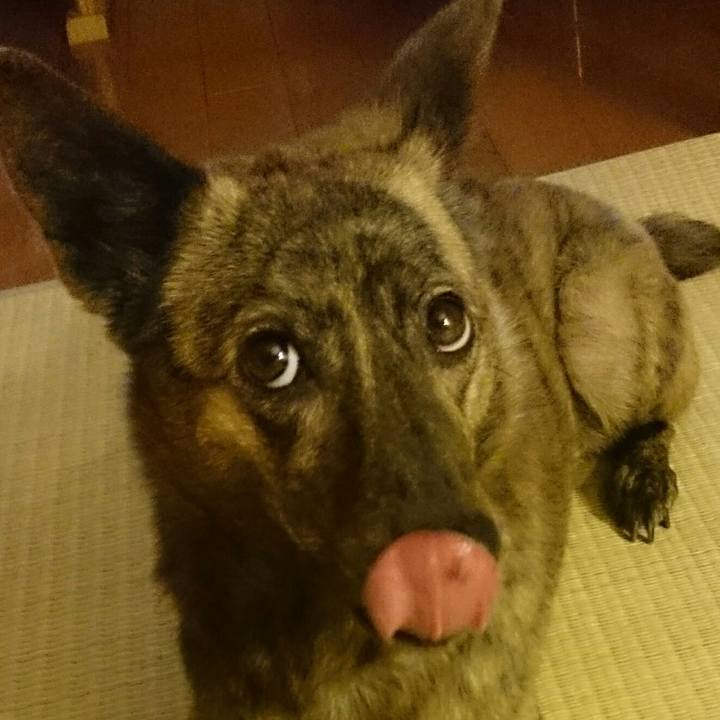 F2334721 f165 477c b60f 904ad6167643