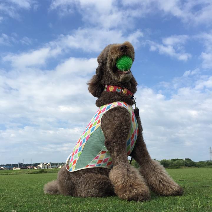 F2343d7d aa17 4a1e 87b2 5fa081d59686