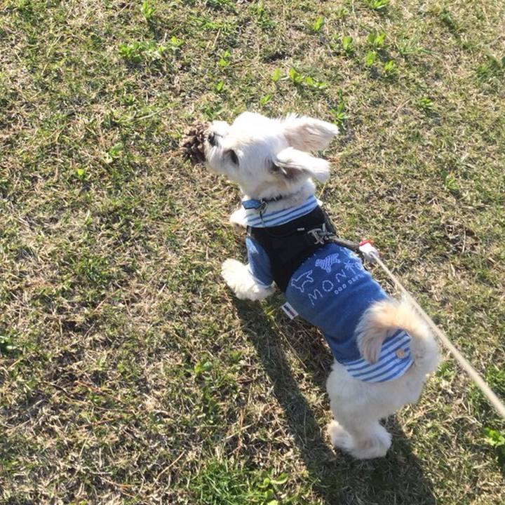 F2348d53 40c7 4ceb 99be 1bded4a3a6e2