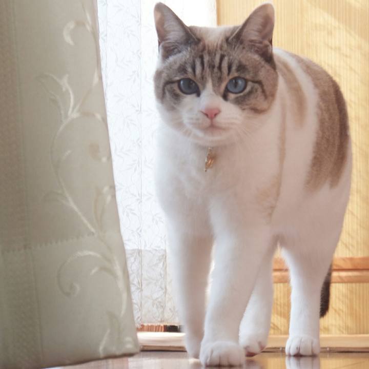 F234bed7 404a 4ed2 bb40 9a7ee85c6f85