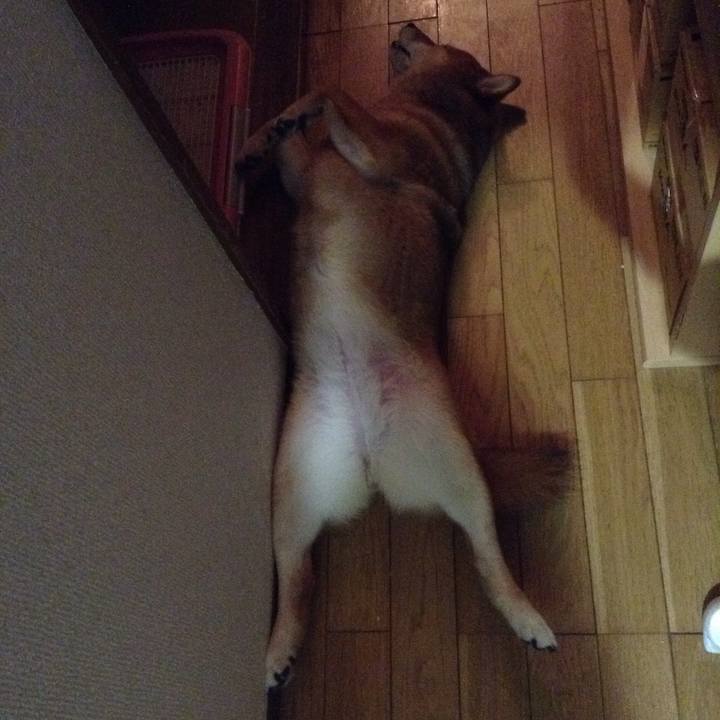 F236c788 050e 474d b3f0 f2ccc5adae1b