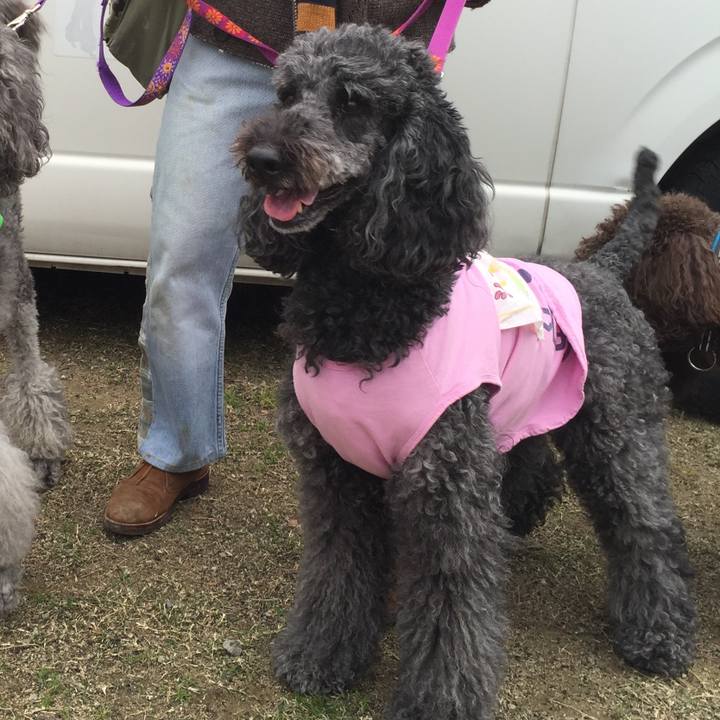 F2378e2d f7fa 4486 9b34 56c7a6dd08f3