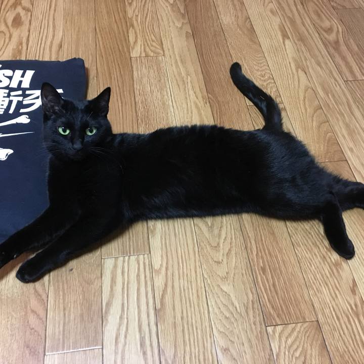 F2378f2f 7e0a 449f 99fa e60872b53ca2