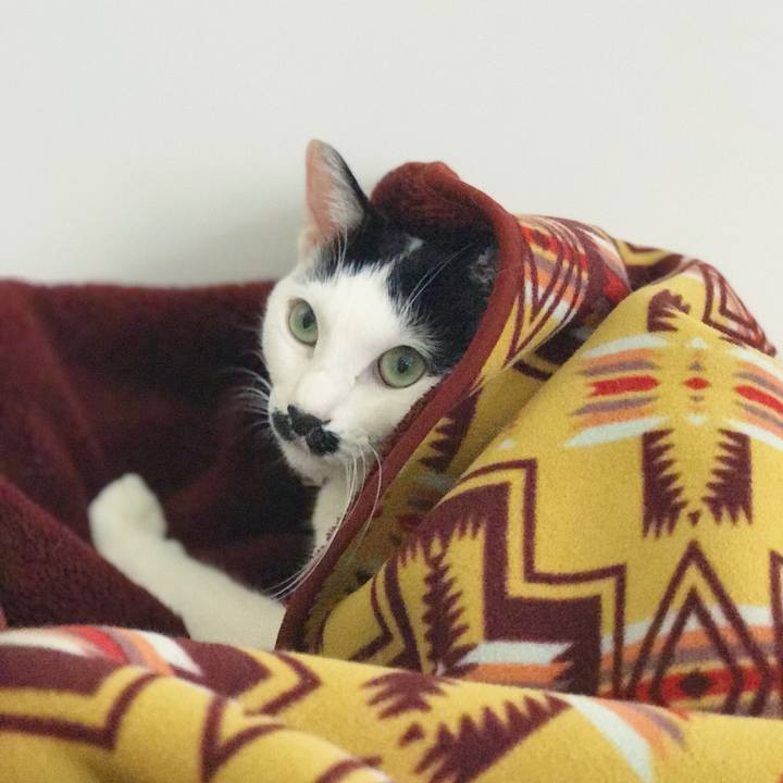 F237b789 85b5 44d9 b6e7 a7c7107d5184