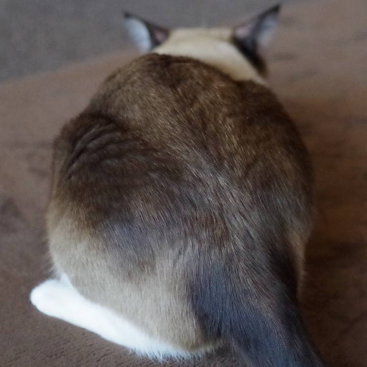 F2386561 c188 4f7e b935 200bd9430a3e