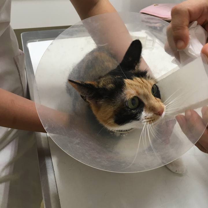 F2389ee8 c164 4ac1 bc7a 7bb2fb36a0e7