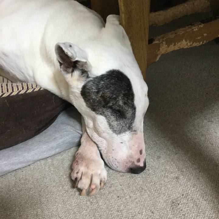 F23982eb 50ea 48c6 bfaa cc4d304223b3