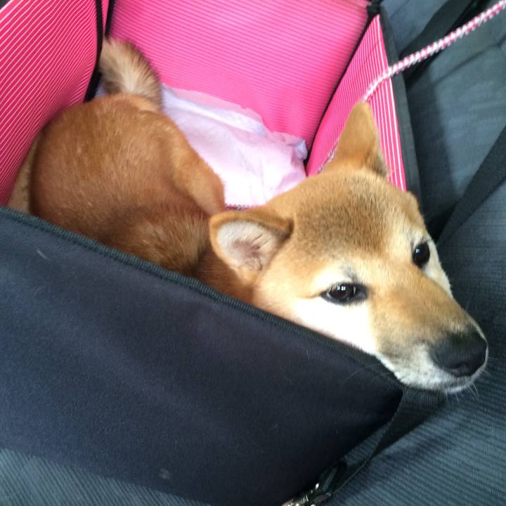 F239d21b dbd6 476d 844a bbb37feb1ac0