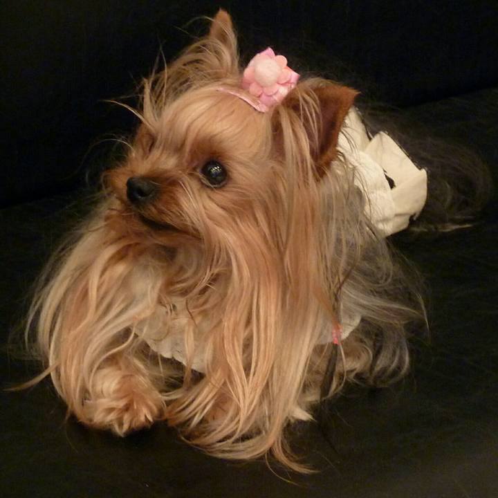 F23a0c36 f0b8 4b0c b705 22c3770c45bd