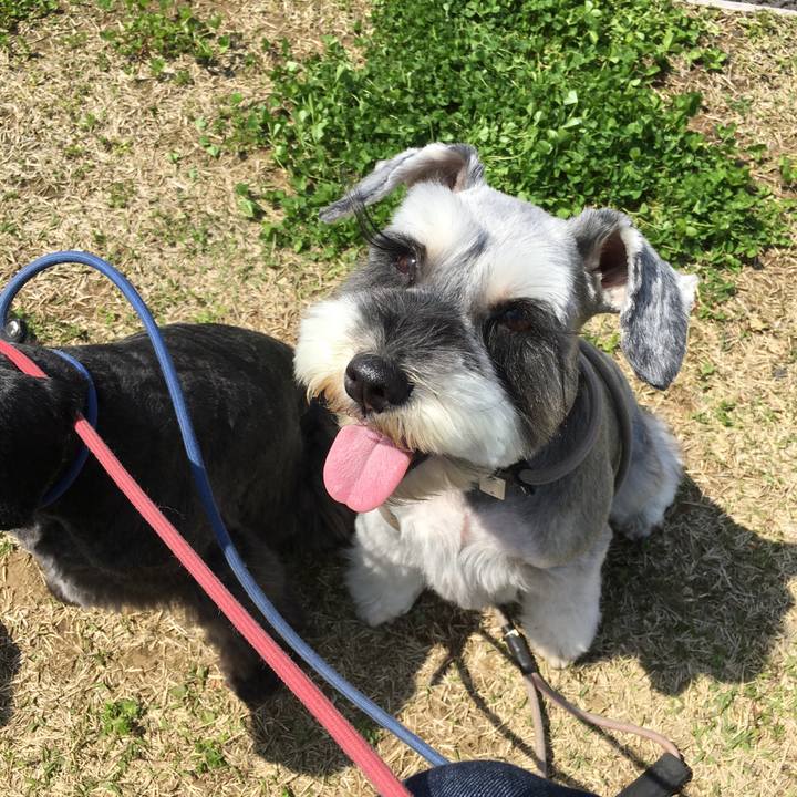 F23a20a3 01d2 41ba b7ac ea49ad755aae