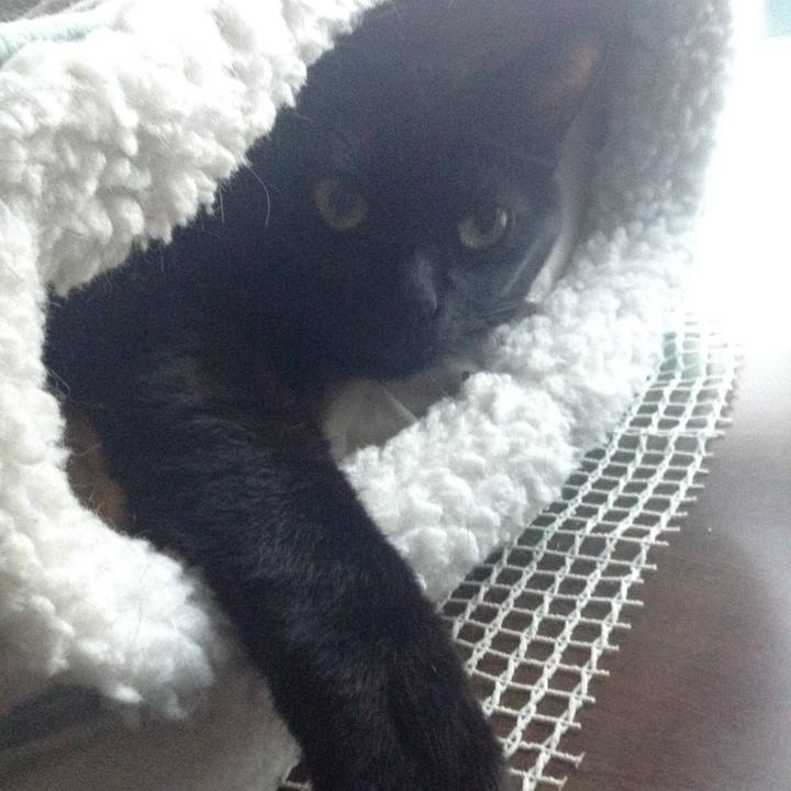 F23a7c11 f659 470f 9614 8d8c2efce768