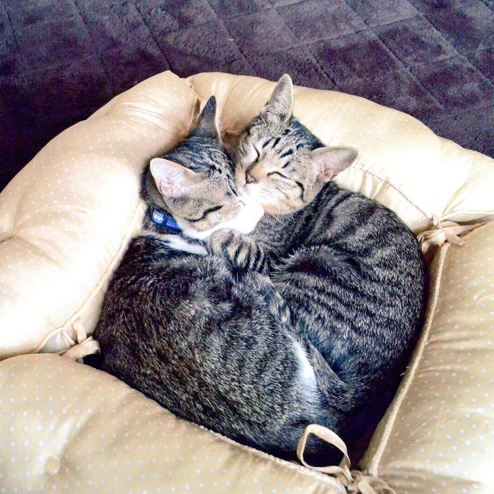 F23b2b12 dace 4399 8e75 a409010b7173