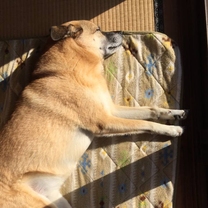 F23bc274 c6de 4bf7 8aed 3b2e75c70421