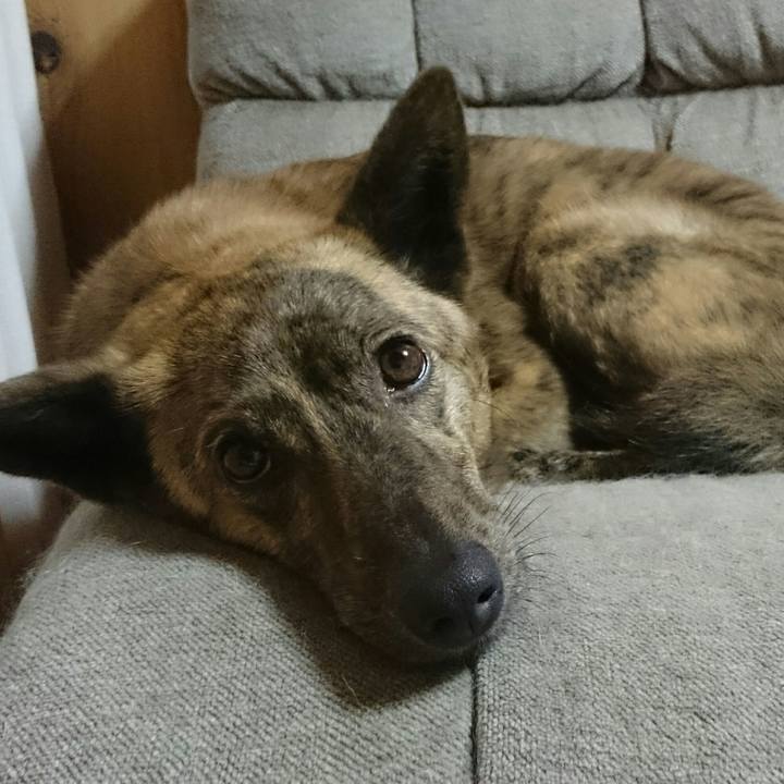 F23c0b15 d39e 4589 b45d 4164cb21922c