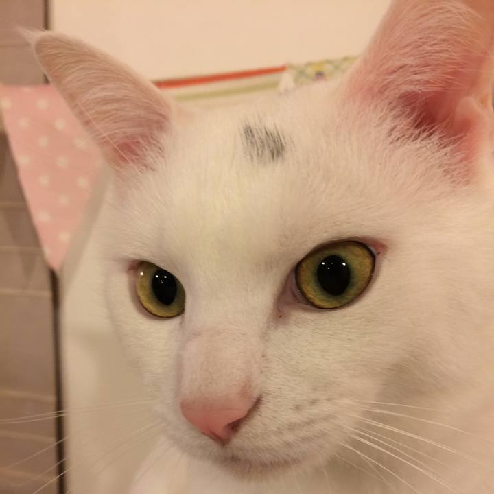 F23cc3d8 66c6 4904 9c9c 638399bd7bb5