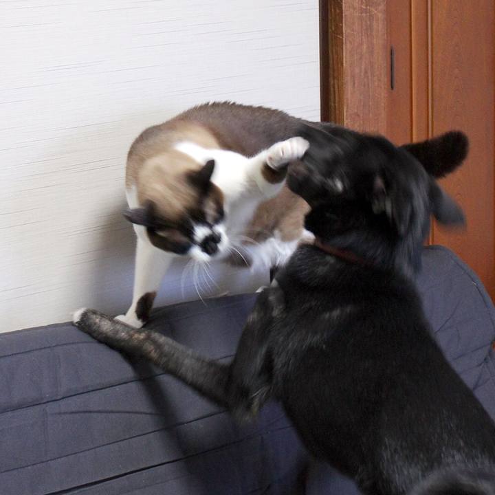 F23cc4aa 4faf 4604 97cb 9d1bb4f84523