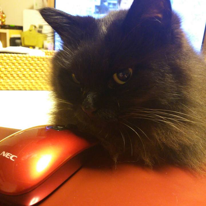 F23ce2df efdc 442b a5a5 797a8723f122