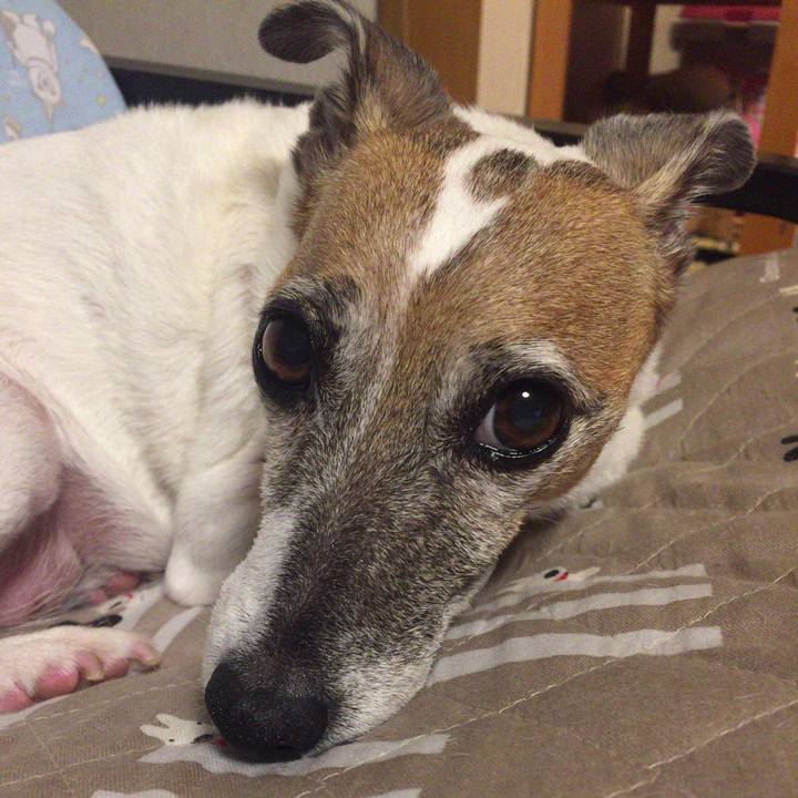 F23d2c9f b0f8 431b 9ece 126e7cb608bb