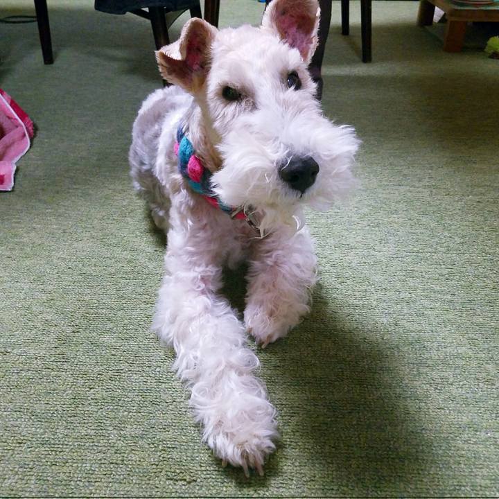 F23d8f4c 81e8 4e33 9558 14708faab1ff