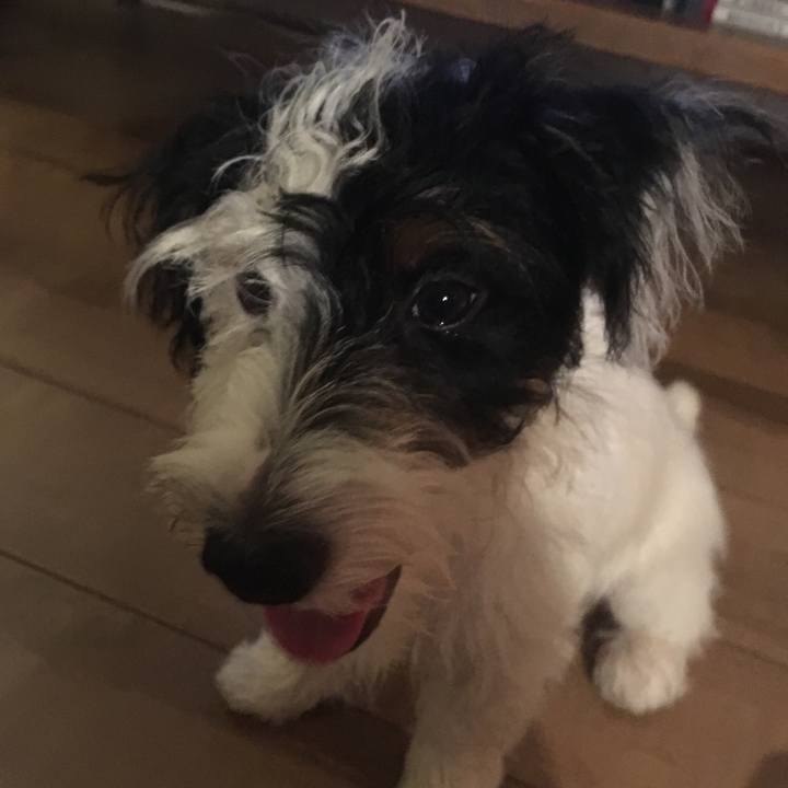 F23e902b de5b 4c81 9780 3fe62c0c78fc