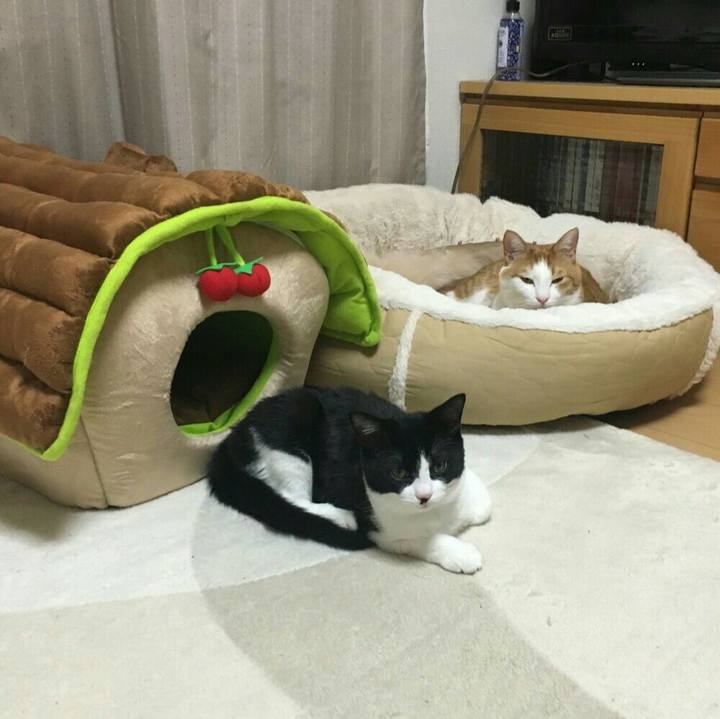 F23f0561 2a02 403a 9c60 89d7ae45ffdb