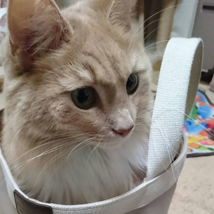 F23f11de 8390 42c5 9830 dbde36fc364d