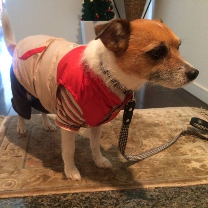 F23f497f ee76 4a0a 8f76 fecce07aaa23