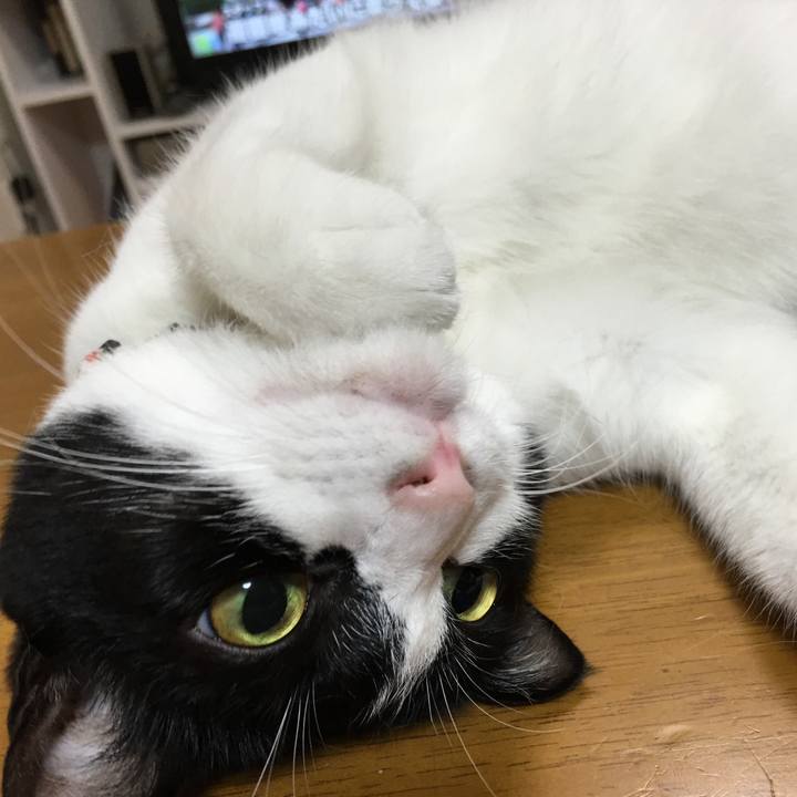 F23f6ced 92e0 4201 a5a9 cd207bc53cf1