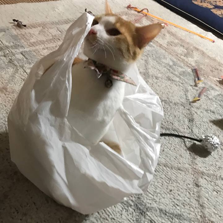 F23f8c0f 30a4 4066 b8bf 9ec3bb877e20