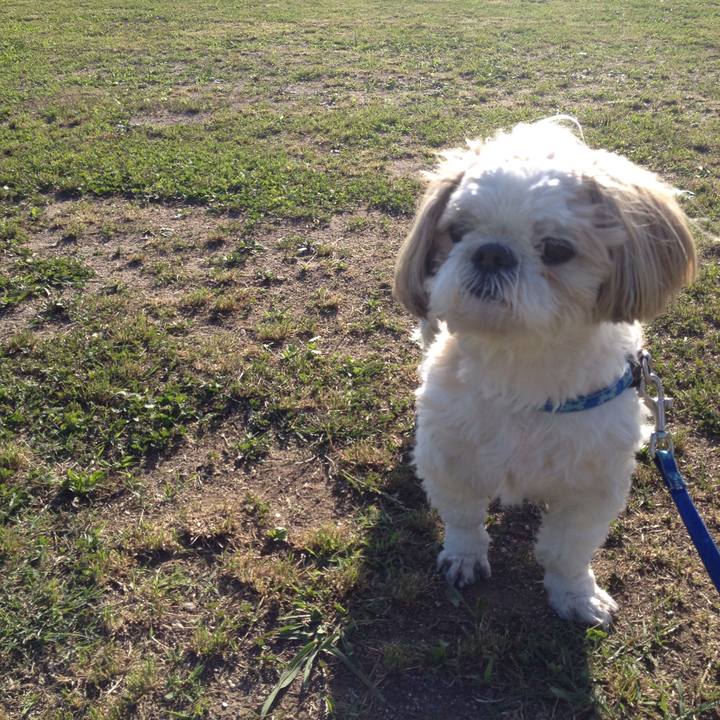 F2406dbc d6ba 40cb 9740 9f0b64bda675