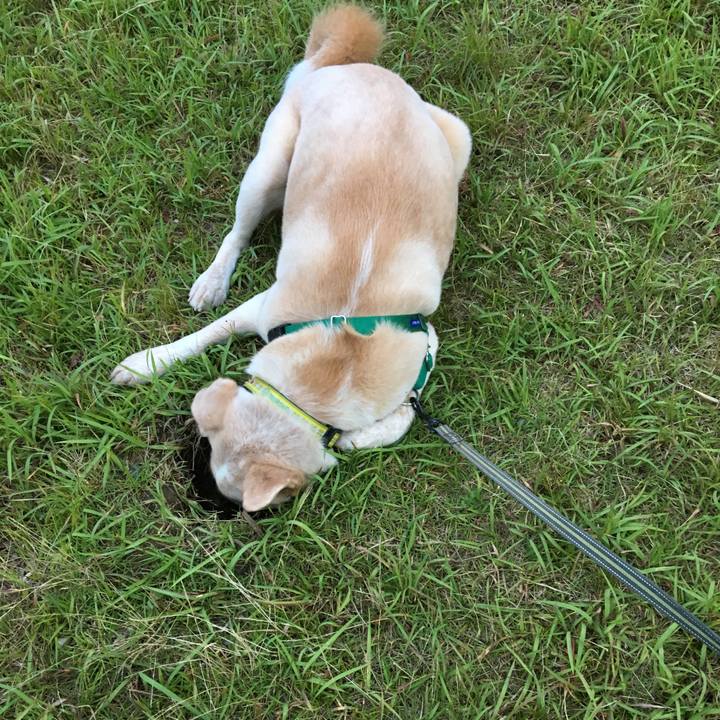 F240fdb0 d78e 4131 bed4 d0b1bb2346b1