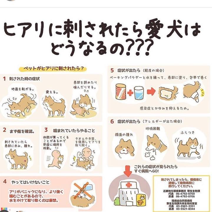 F241d04d 4e54 4293 b4a3 7d74adbd53ac