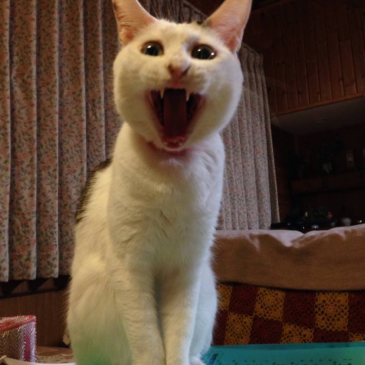 F24258d6 4df0 4438 835e 8339f52dbf40